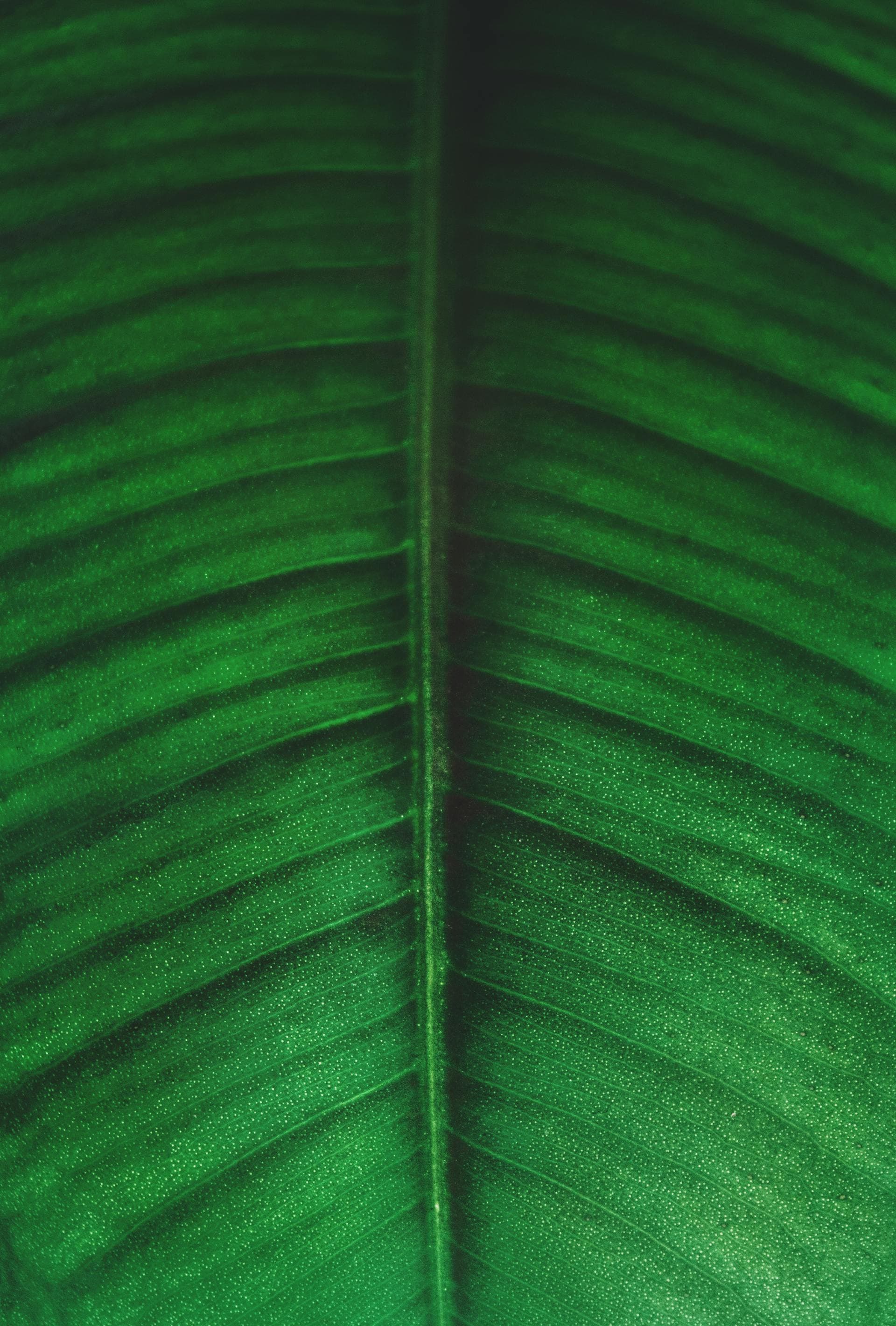 blog post image